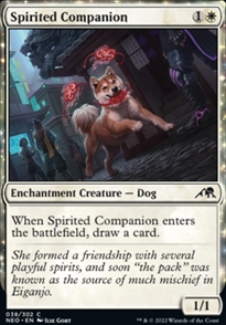 Spirited Companion